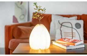 Настолна лампа и ваза в едно Орех - Gingko