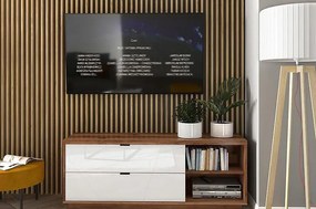 ТВ шкаф FORN RTV2S