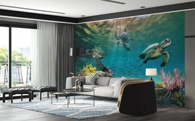 Фототапет Морски свят с костенурки