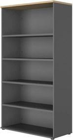 Библиотека Librara-Mauro - Fusiko