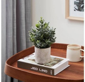 Eglo 428027 - Изкуствено растение CHITOSE в саксия 22x16 см