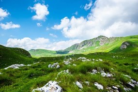 Самозалепващ фототапет – Долина в Черна гора