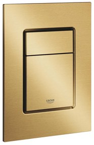 Skate Cosmopolitan S Бутон