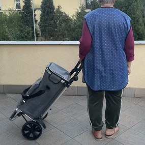 Голяма количка за пазаруване 40 л - сгъваема, с регулируема дръжка