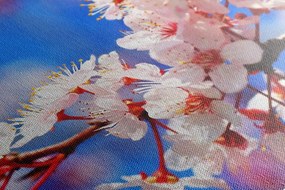 Картина на платно – Цвят на череша