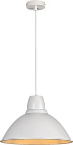 Rabalux Wilbour Висящи осветителни тела IP20 E27 1x MAX 60W K 72014