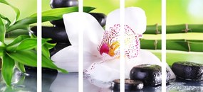 картини от 5 части – Японска орхидея