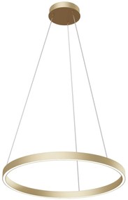 Плафон Maytoni Rim LED-Brass