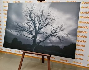 Картина на платно – Черно-бяло дърво на ливадата