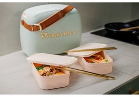 Сиво-зелена хладилна чанта 6 l Classic Gold – Polarbox