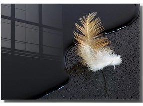 Картина върху стъкло 100x70 cm Feather - Wallity