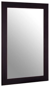 Стенно огледало 60x90 cm Heritage - Premier Housewares