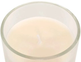 Ароматна свещ atmosphera Floa, Стъкло, 115 g - Monoi