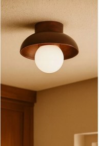 Кафяво осветително тяло за таван със стъклен абажур ø 24 cm Elsa – Opviq lights