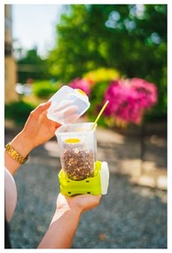 Зелена кутия за обяд и закуска с прибори за хранене, , 650ml+230m Push&amp;Push - Vialli Design