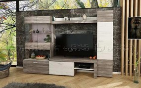 Холна секция Виго