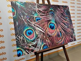 Картина на платно – Пауново перо