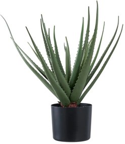 Изкуствено растение (височина 51 cm) Aloe Vera – House Nordic