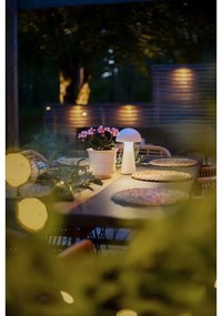 Бяла LED настолна лампа с възможност за димиране (височина 28 cm) Mushroom - Star Trading