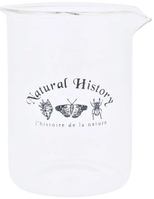 Стъклена ваза (височина 12 cm) Natural History – Esschert Design