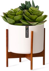 Fox & Fern Thorn, саксия, със стойка, стил 50-те, 2 размера