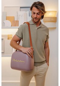Кафява хладилна чанта 6 l Classic Gold – Polarbox