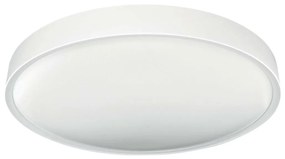 LED Плафониера SAMER LED/40W/230V 4000K