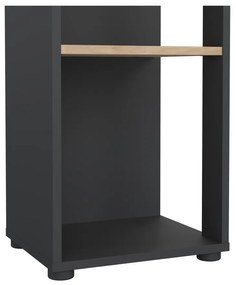 Етажерка за книги в дъбов декор в цвят антрацит-натурален 41x205 cm Sign - Tvilum