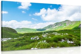Картина на платно – Долина в Черна гора