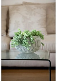 Пластмасова висяща стенна саксия за цветя ø 28 cm Cozy – Keter