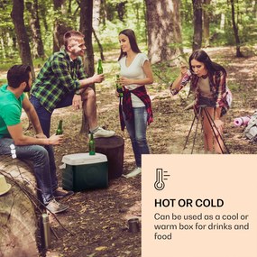 Klarstein BeerBelly 21, електрическа хладилна кутия, функция охлаждане и задържане на температурата, USB порт, режим ЕКО