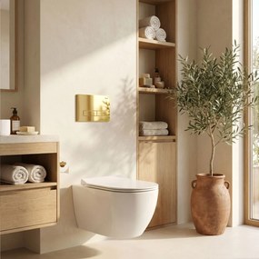 Комплект Структура за Вграждане за WC Slim 024N с Бутон HD Gold