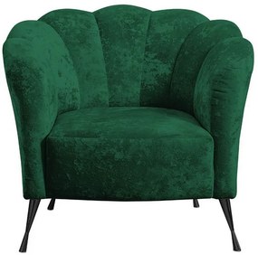 Фотьойл Adria BK-Prasino