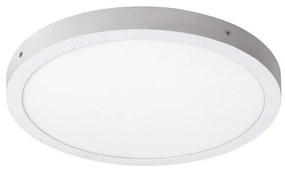Rabalux 2658 - LED Лампа за таван LOIS LED/36W/230V