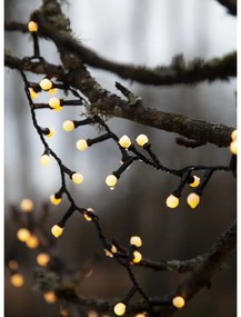 Външна LED светлинна верига, дължина 6 м Berry Mini - Star Trading