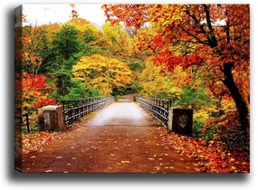 Живопис , 70 x 50 cm Autumn Bridge - Tablo Center