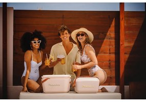 Хладилна чанта сиво-розова 12 l Classic – Polarbox