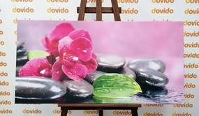 Картина на платно – Орхидея с релаксиращ дух