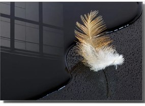 Картина върху стъкло 70x50 cm Feather - Wallity