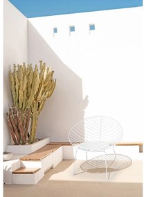 Комплект от 2 бели градински стола Coco - Bonami Selection