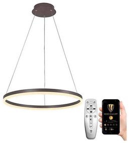 Brilagi - LED Димируем пендел CIRCLE LED/42W/230V 3000-6500K кафяв + д.у.