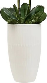 Изкуствено растение atmosphera Orchid Hotel, 115 cm, Керамика