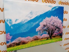 Картина на платно – Магическо дърво сред планини
