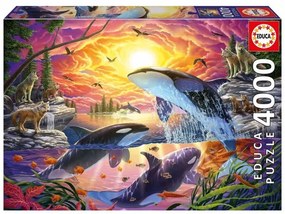 Пъзел, Educa, Косатки и вълци, 4000 части