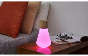 Настолна лампа с възможност за затъмняване в естествен цвят (височина 13 см) Pentagon - Gingko