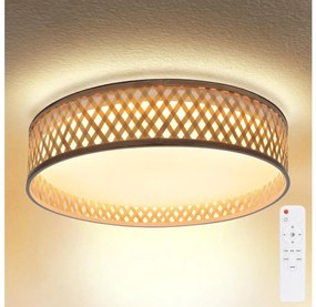 Brilagi - LED регулируемо таванно осветление CAMILA LED/48W/230V 3000-6500K + DO