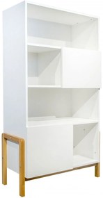 Библиотечка Victor