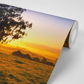 Фототапет – Дърво при залез
