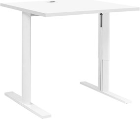 Бюро DeskVision I-Leuko