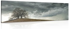Картина на платно – Самотни дървета